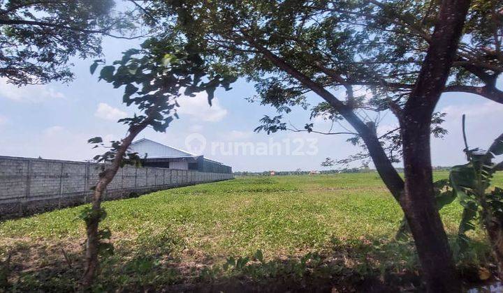 Dijual Tanah Lokasi Strategis Di Raya Bakalan Bojonegoro Murah 1