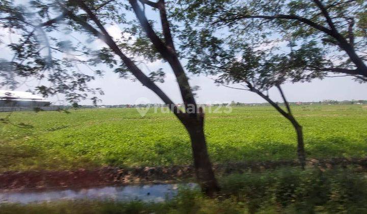 Dijual Tanah Lokasi Strategis Di Raya Bakalan Bojonegoro Murah 7