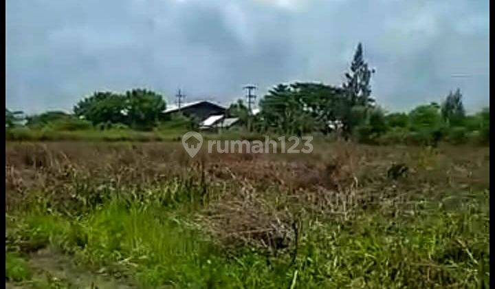 Dijual Tanah Lokasi Strategis Di Raya Tuban Jawa Timur Murah 2