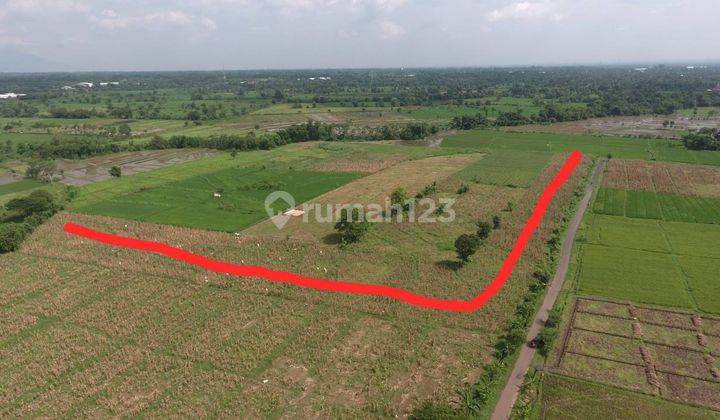 Tanah di Desa Martopuro Kec Purwosari Pasuruan Strategis  2