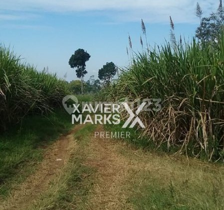 Tanah Luas di Toyomarto Singosari Malang Lokasi Strategis  2