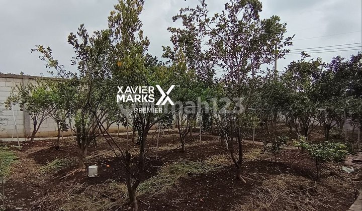 Warehouse and Garden Prospect for Aesthetic Cafe at Joyogrand Dau Malang Warehouse and Garden Prospect for Aesthetic Cafe at Joyogrand Dau Malang