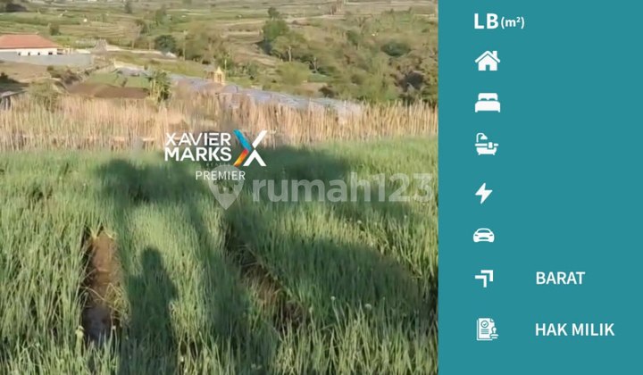 Tanah Luas di Area Kota Batu bisa untuk Usaha dan Inves