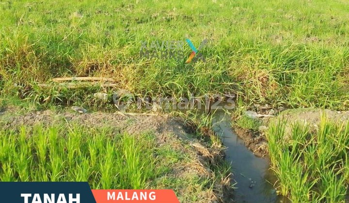 Tanah Luas Strategis di Sidodadi Pakisaji Malang 1