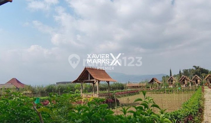 Active Restaurant High Demand Serene Environment in Pujon Malang