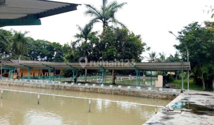 Tanah Ada Kolam Pemancingan Di Pinggir Jalan Harga Rp 960.000 Per M² 2