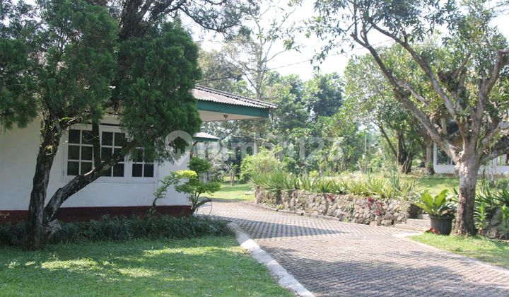 Tanah dengan Rumah di Areal Persawahan 2