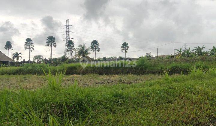 Tanah di Desa Singapadu Kaler Luas 2.000 M2, Gianyar, Bali 2