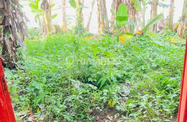 Rumah SHM Murah di Pondok Mekar Indah 2  7