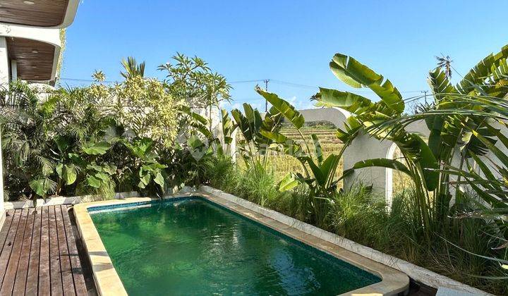 Villa With Paddyfield View Near Cemagi And Pererenan Beach 2