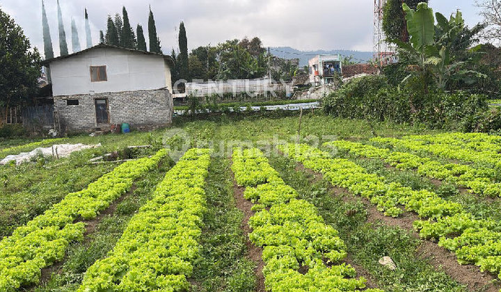 Jual Tanah Daerah Lembang Cocok untuk di Buat Villa Jual Tanah Daerah Lembang Cocok untuk di Buat Villa