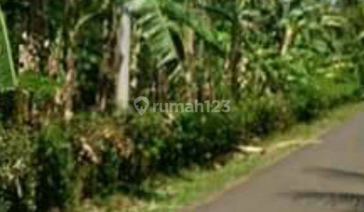 Tanah lokasi sangat strategis 3