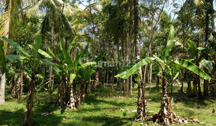 Tanah lokasi sangat strategis 5