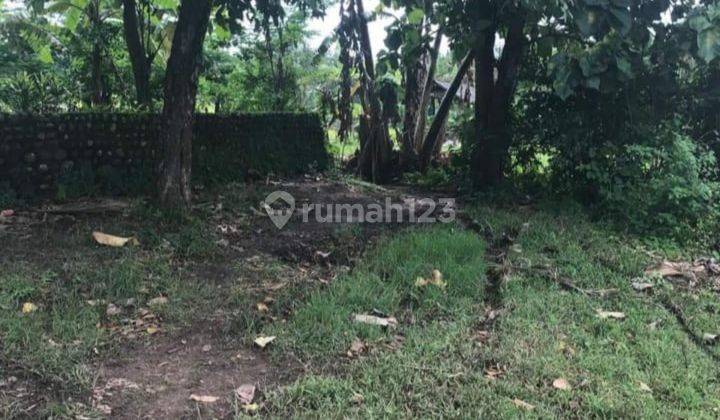 Tanah pinggir jalan utama Jalan Denpasar Gilimanuk  3