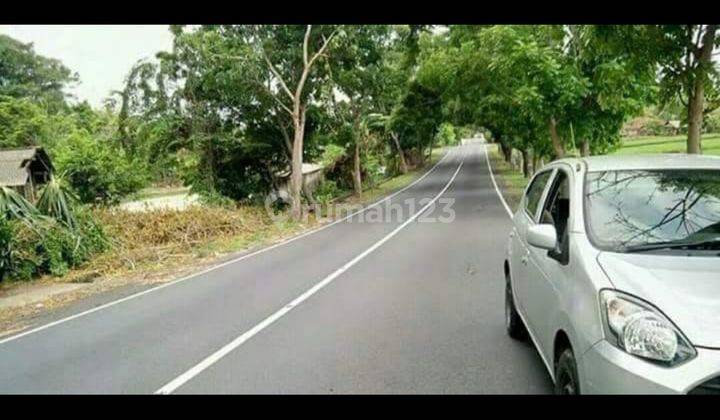 Tanah pinggir jalan utama Jalan Denpasar Gilimanuk  4