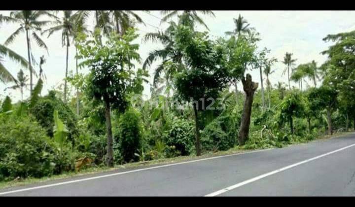 Tanah pinggir jalan utama Jalan Denpasar Gilimanuk  1