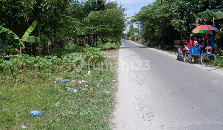 Tanah  murah pinggir jalan cocok buat usaha panglong