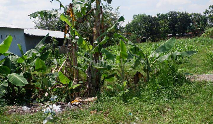 Tanah  murah pinggir jalan cocok buat usaha panglong