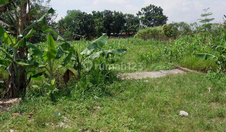 Tanah  murah pinggir jalan cocok buat usaha panglong