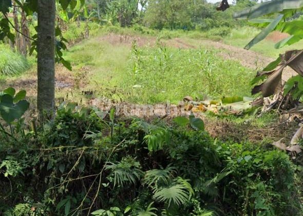 Tanah Di Serang Banten Desa Garut