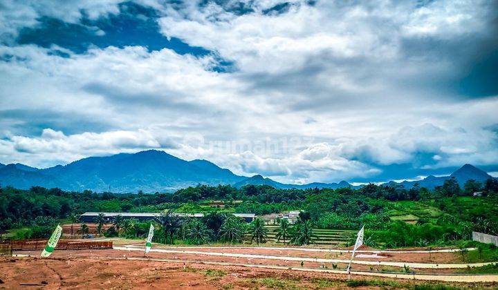 TANAH STRATEGIS NEMPEL JALAN ASPAL KABUPATEN BOGOR 2