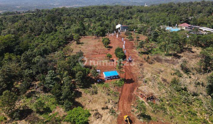 Tanah Wisata Terbaru Nuansa Alam Agro Eduwisata  6