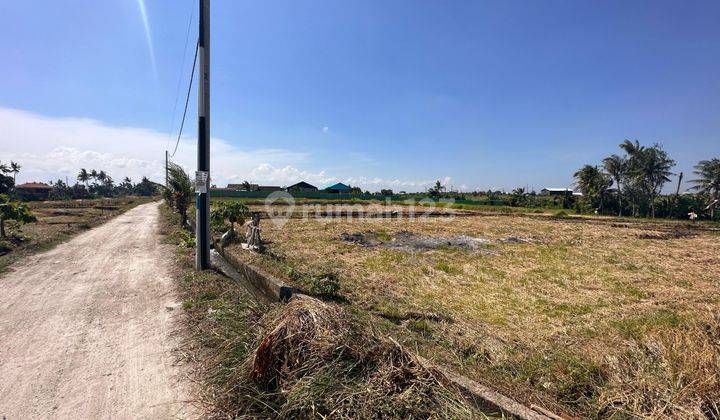 Plot of Land Seseh 27.5 Are Bali, Pererenan Access 1