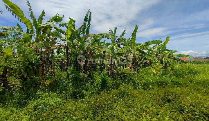 Tanah view sawah dikawasan dalung badung bali 3