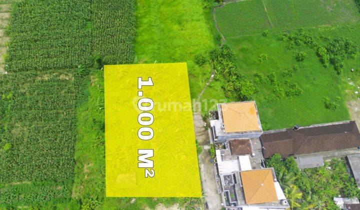 Tanah view sawah dikawasan dalung badung bali 4