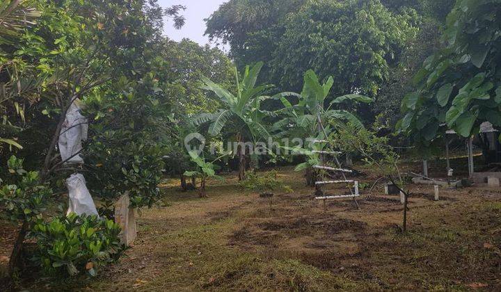 Di JUAL: Tanah bonus 2 rumah tipe 36 1