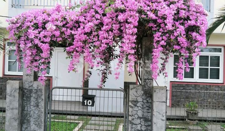 Cheap Fast Sale 2 Attached Shophouses In Mega Cinere Depok 1