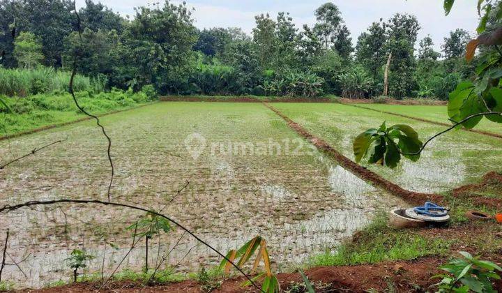 Tanah Murah di Daerah Bangsri, Jepara