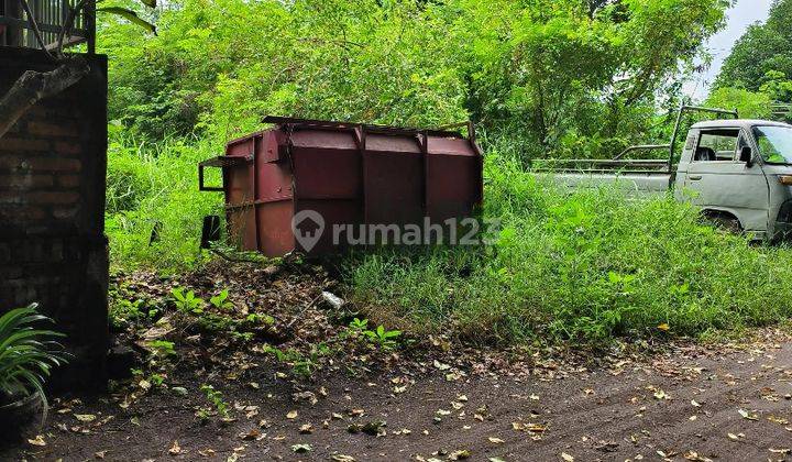 Tanah Murah Aset BRI, Sawan, Kab. Buleleng 2