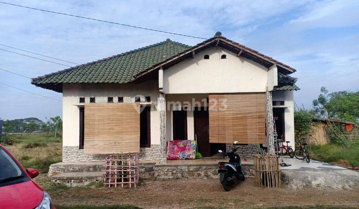 Rumah Murah Aset BRI, Rajeg, Kab. Tangerang 1