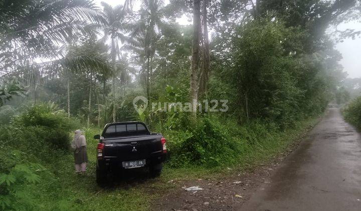 Tanah Non Lelang Bri, Tengaran, Semarang Kabupaten 2