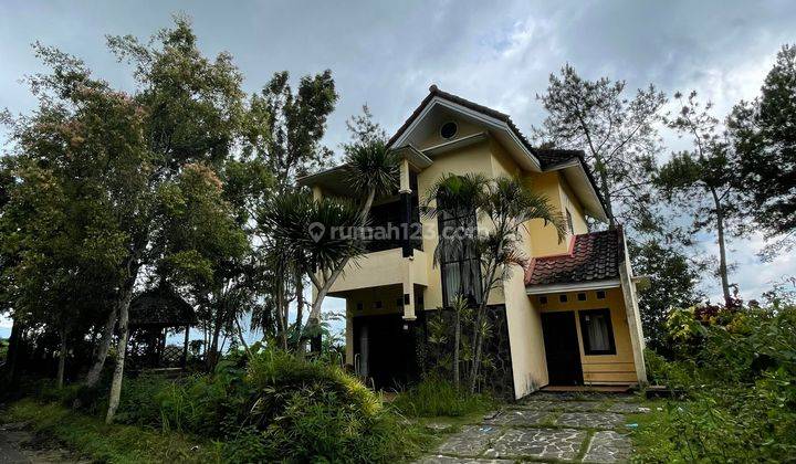 Rumah Lelang Bri, Batu, Batu 1
