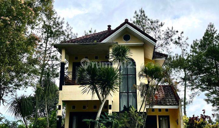 Rumah Lelang Bri, Batu, Batu 3