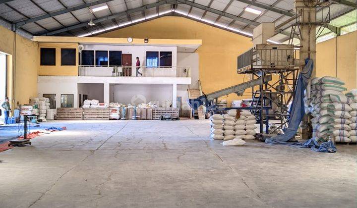 Gudang Lelang Bri, Tamalanrea, Makassar 3