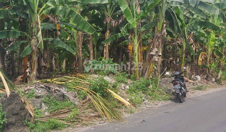 Tanah Lelang Bri, Karang Asem, Denpasar 1