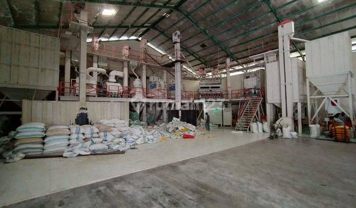 Gudang Lelang Bri, Tamalanrea, Makassar 3