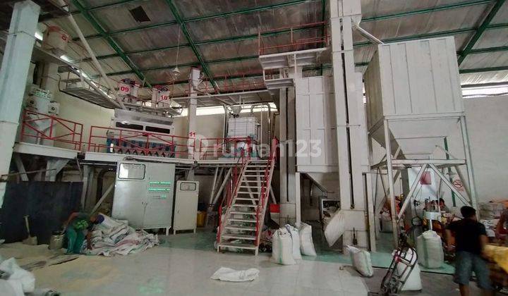 Gudang Lelang Bri, Tamalanrea, Makassar 5
