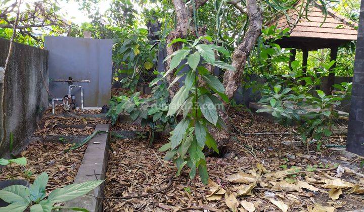 Rumah Lelang Bri, Denpasar Barat, Denpasar 2