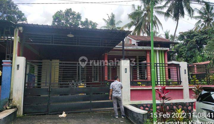 Rumah Lelang Bri, Banyuwangi 2