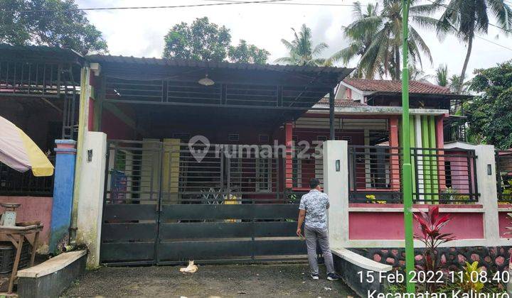 Rumah Lelang Bri, Banyuwangi 1