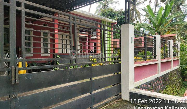 Rumah Lelang Bri, Banyuwangi 3