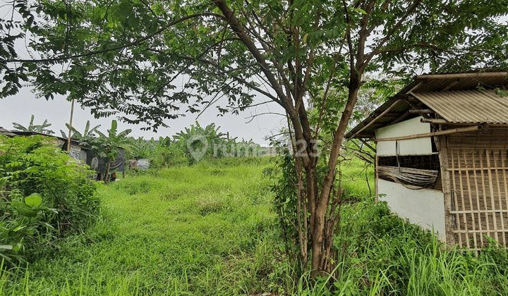 Tanah Lelang Bri, Cariu, Bogor 1
