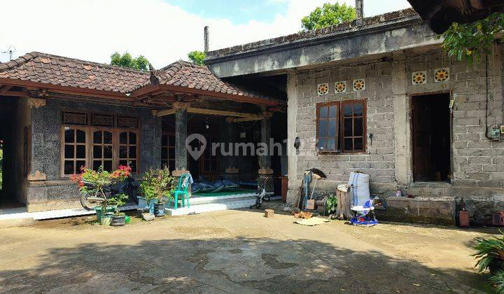 Rumah Murah Aset BRI, Busungbiu, Kab. Buleleng