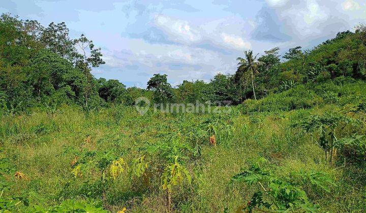 Tanah Murah di Daerah Bermani Ilir, Kepahiang