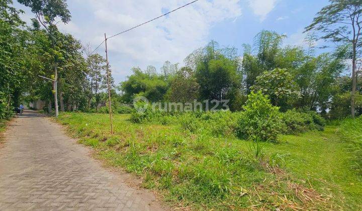 Tanah Murah Aset BRI, Plosoklaten, Kab. Kediri 2
