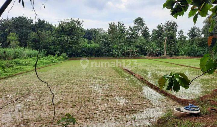 Tanah Murah di Daerah Bangsri, Jepara